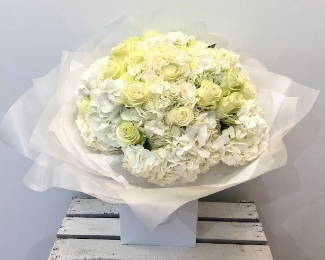 Luxury hand tied of white hydrangea and white roses. 