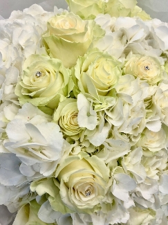 Luxury hand tied of white hydrangea and white roses. 