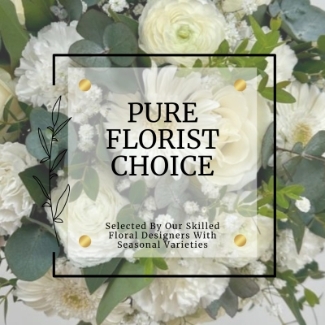 Pure florist choice bouquet is carefully curated by our skilled floral design's showcasing beautiful white blooms and fresh foliage's. 